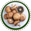 cOGUMELO Portobello