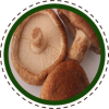 Shiitake